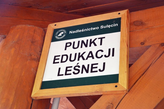 Akcje na wakacje – Na tropie tajemnic – Zwiedzamy szkółkę leśną!